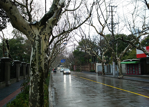洛阳市古城路历史文化街区保护与更新综合改造工程